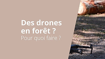 Des drones en forêt ?